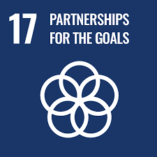 SDG 17